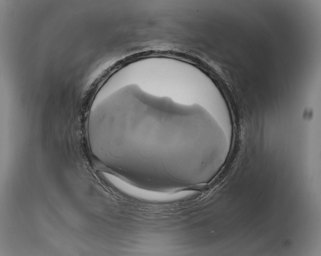 X0000114701263200911181308