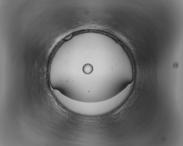 X0000114701264200911181308