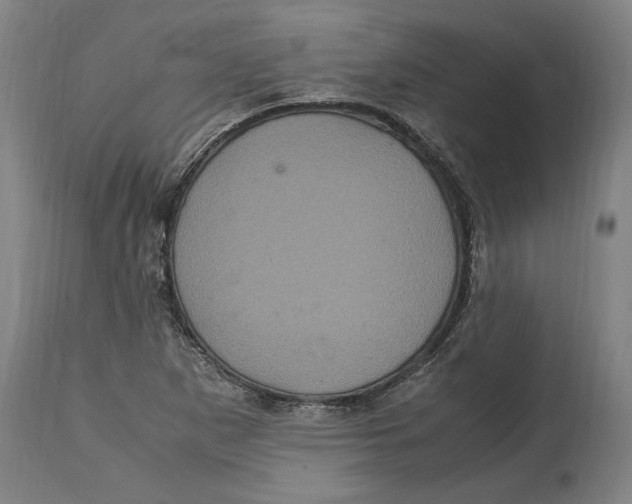 X0000114701265200911181308