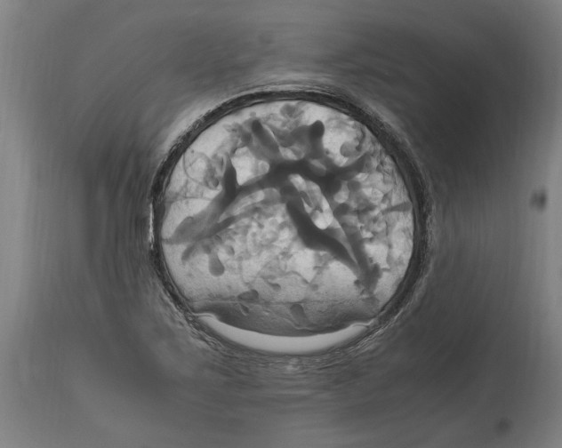 X0000114701267200911181308