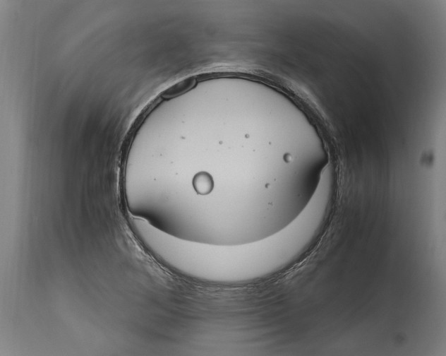 X0000114701268200911181308