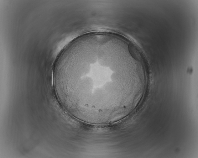 X0000114701269200911181308