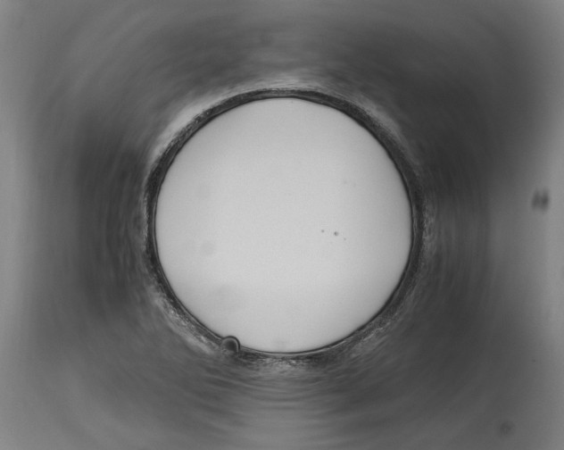 X0000114701270200911181308