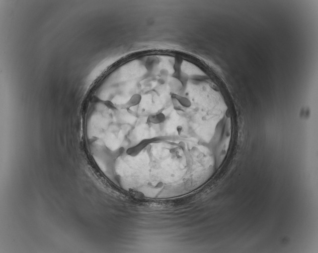 X0000114701271200911181308