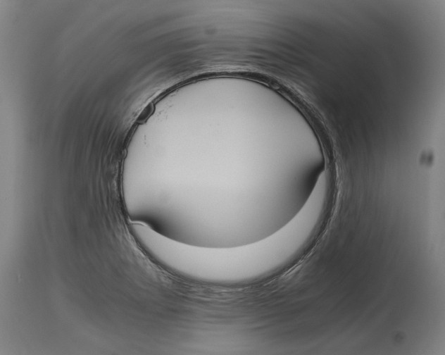 X0000114701273200911181308