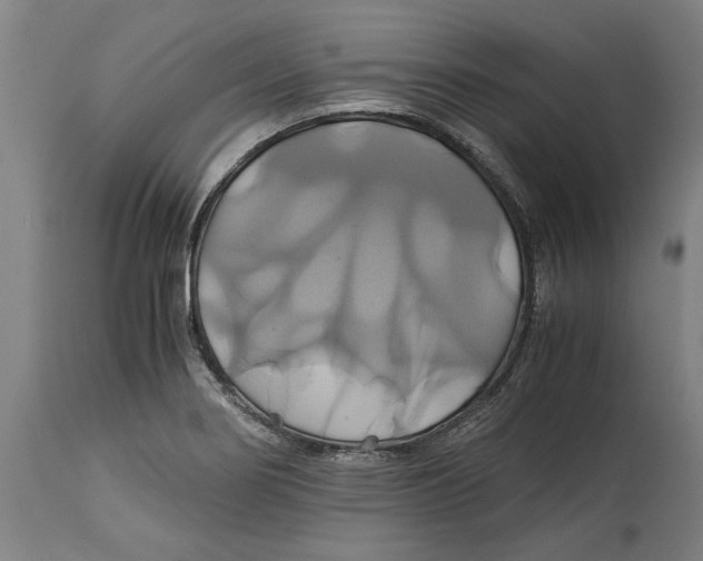 X0000114701274200911181308