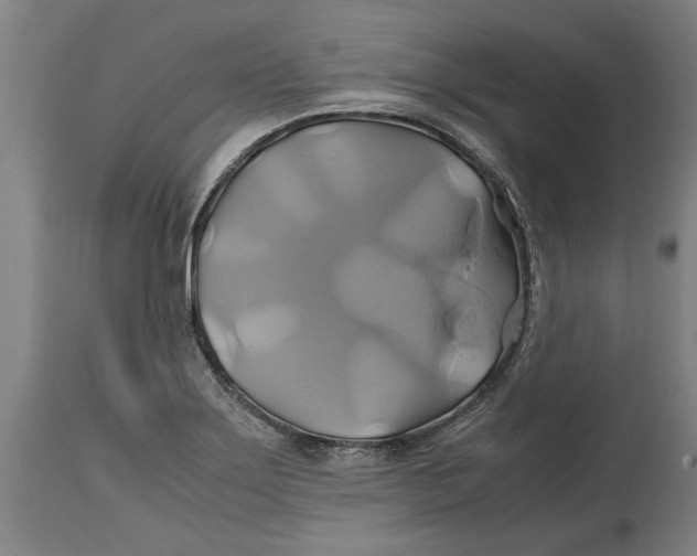 X0000114701275200911181308