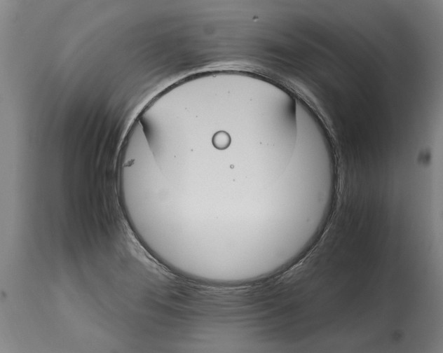 X0000114701276200911181308