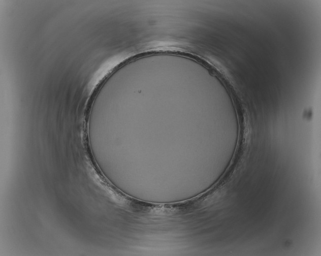 X0000114701277200911181308