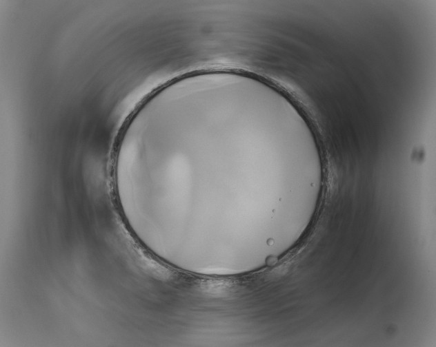 X0000114701278200911181308