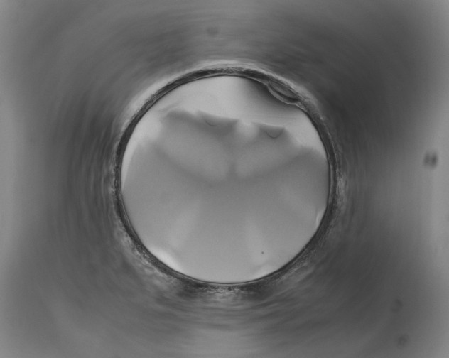 X0000114701279200911181308