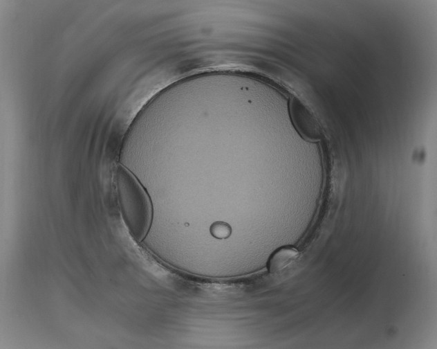 X0000114701281200911181308