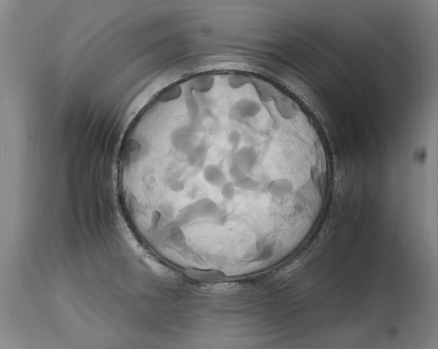 X0000114701282200911181308