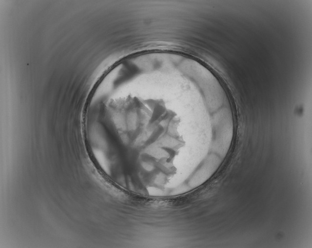 X0000114701283200911181308