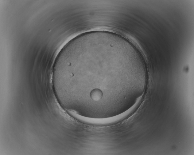 X0000114701284200911181308