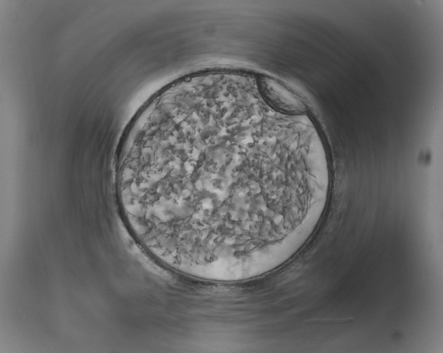 X0000114701287200911181308