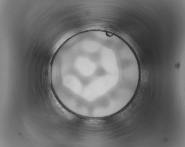 X0000114701290200911181308