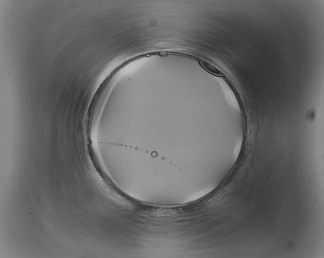 X0000114701291200911181308