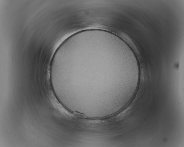 X0000114701292200911181308