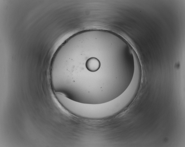 X0000114701293200911181308