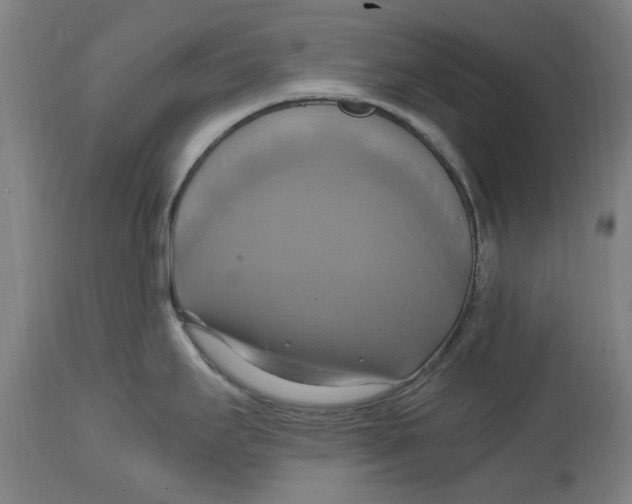 X0000114701295200911181308