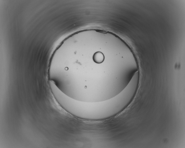 X0000114701296200911181308