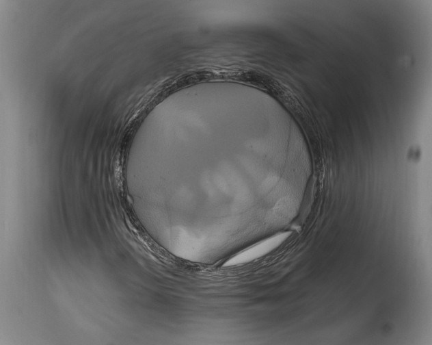 X0000114701298200911181307