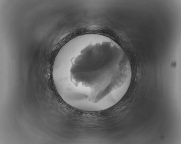 X0000114701301200911181307