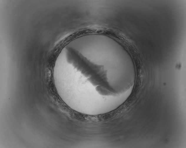 X0000114701302200911181307