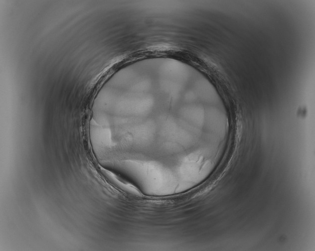 X0000114701305200911181307