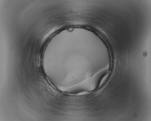 X0000114701306200911181307