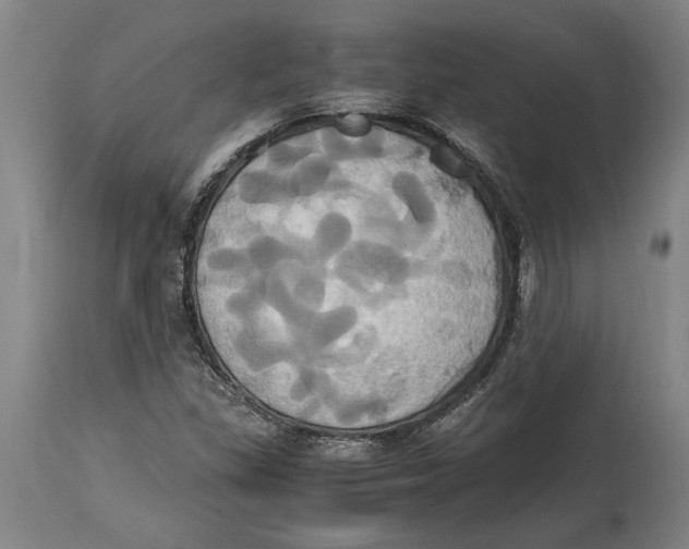 X0000114701309200911181307