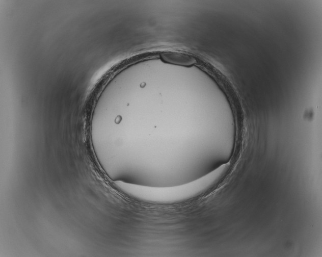 X0000114701310200911181307