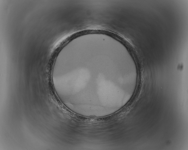 X0000114701311200911181307