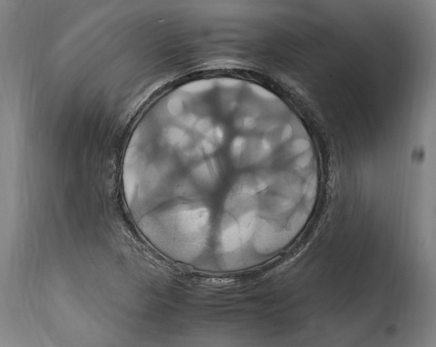 X0000114701313200911181307