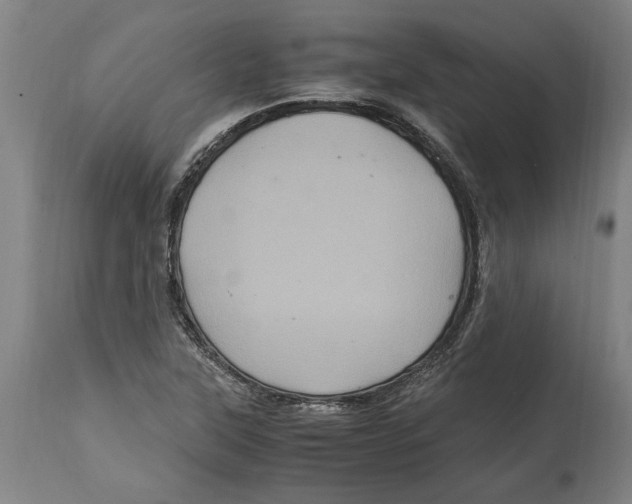 X0000114701315200911181307