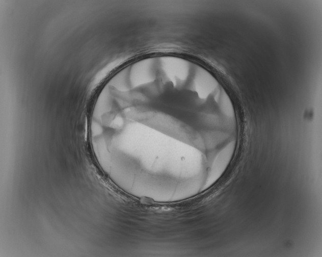 X0000114701317200911181307