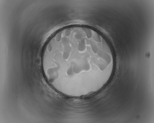 X0000114701318200911181307