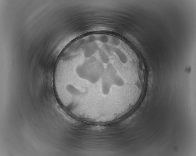 X0000114701321200911181307