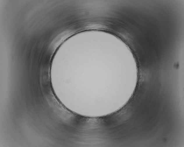 X0000114701322200911181307