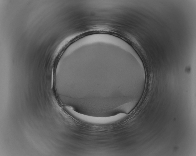 X0000114701323200911181307