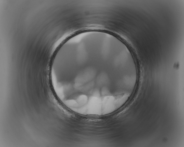 X0000114701325200911181307