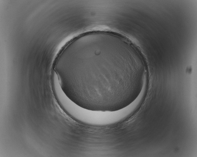 X0000114701326200911181307