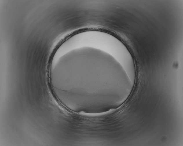 X0000114701327200911181307