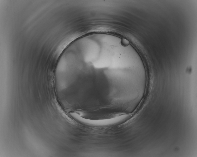 X0000114701329200911181307