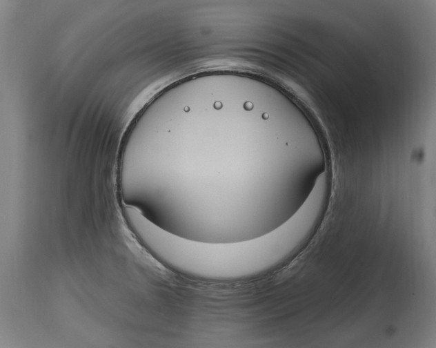 X0000114701330200911181307