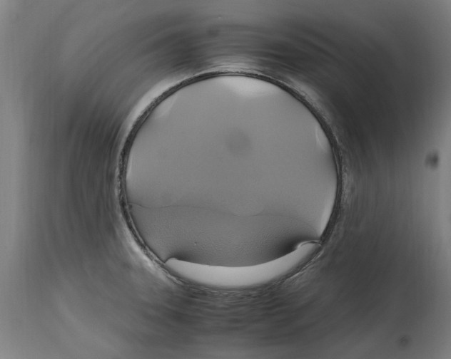 X0000114701331200911181307