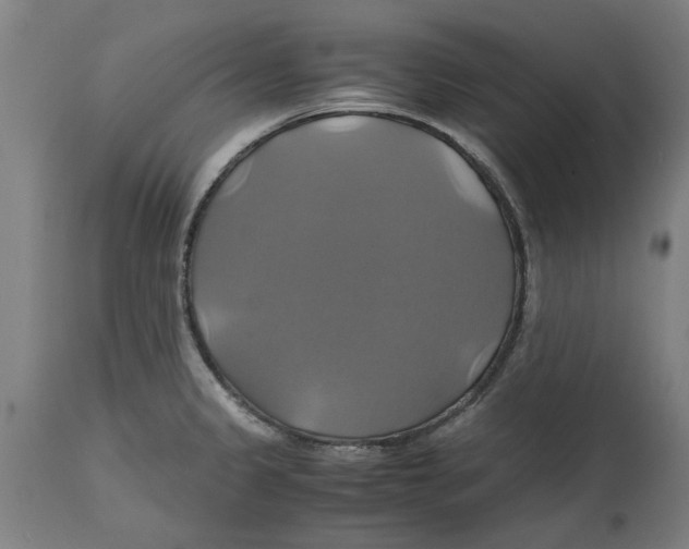 X0000114701333200911181307