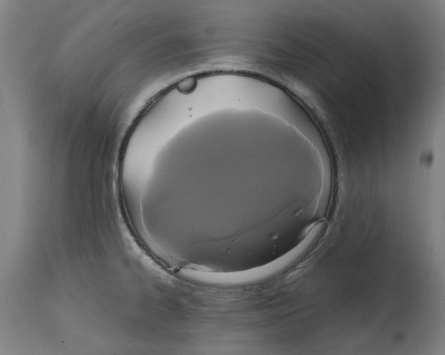 X0000114701334200911181307