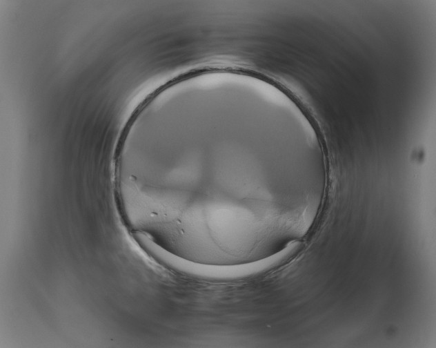 X0000114701335200911181307